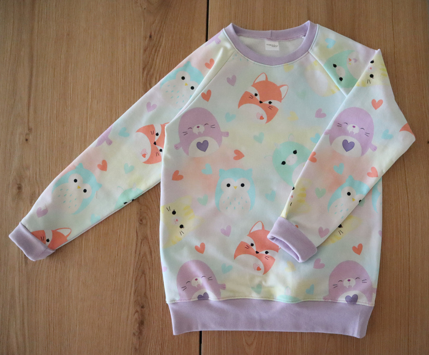 Harjattu Joustocollege: Sateenkaari pehmot