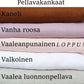 VILJA HANDMADE Taimi Paita