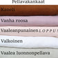 VILJA HANDMADE Estel mekko